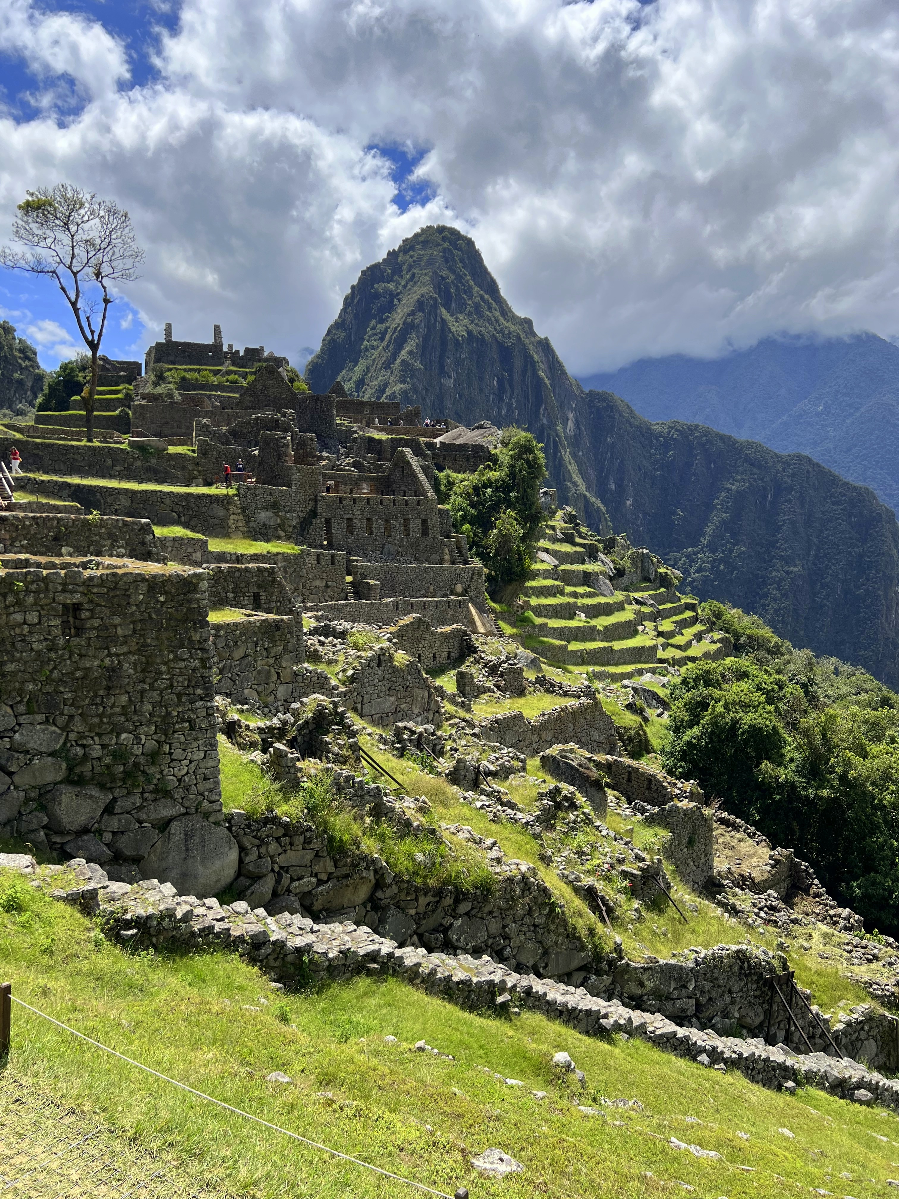 Machu Picchu